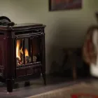 Entreprises 18 image 4 SEASONS FIREPLACES FURNACES AND HEAT PUMPS Real Estate & Home Improvement dans Victoria BC