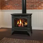 Entreprises 45 image 4 SEASONS FIREPLACES FURNACES AND HEAT PUMPS Real Estate & Home Improvement dans Victoria BC