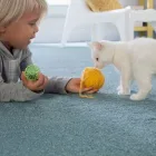 Entreprises 2 image A & R CARPET BARN SALES Shopping dans Winnipeg MB