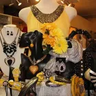 Business 2 image A SPECIAL PLACE Shopping in Calgary AB