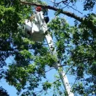 Entreprises 5 image A-STAR TREE EXPERTS INC. Tree Work & Forestry Services dans Oakville ON