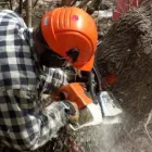 Entreprises 6 image A-STAR TREE EXPERTS INC. Tree Work & Forestry Services dans Oakville ON