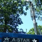 Entreprises 7 image A-STAR TREE EXPERTS INC. Tree Work & Forestry Services dans Oakville ON