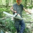 Entreprises 2 image A-STAR TREE EXPERTS INC. Tree Work & Forestry Services dans Oakville ON