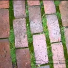 Entreprises 4 image A TOUCH OF GLASS WINDOW CLEANING Window Cleaners dans Victoria BC