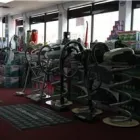 Business 8 image A VACUUM KING LTD Vacuum Cleaners in Toronto ON