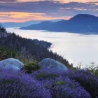 Entreprises 10 image AA SEPTIC SERVICES Septic Tank Installation, Repair & Maintenance dans West Kelowna BC
