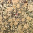 Entreprises 6 image AABA GRANITE & MARBLE INC Real Estate & Home Improvement dans Scarborough ON