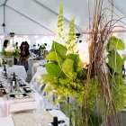 Entreprises 11 image AARDVARK ARMADILLO TENTS INC Marquees, Tents & Portable Floor Rental dans Burnaby BC