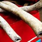 Entreprises 6 image ABSOLUTE DRAINING AND PLUMBING Real Estate & Home Improvement dans Toronto ON