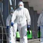 Business 1 image ABSOLUTE MOLD REMEDIATION LTD. Real Estate & Home Improvement in Burlington ON