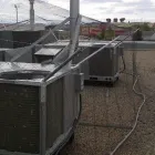 Business 12 image ABSOLUTE PEST CONTROL INC Pest & Vermin Control in Calgary AB
