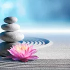 Business 4 image ACCUPUNCTURE NANAIMO Health & Medicine in Nanaimo BC