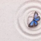 Business 8 image ACCUPUNCTURE NANAIMO Health & Medicine in Nanaimo BC