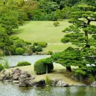 Business 10 image ACCUPUNCTURE NANAIMO Health & Medicine in Nanaimo BC