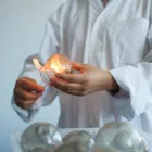 Business 18 image ACUPUNCTURE CHINESE MASSAGE & HERBAL MEDICINE CLINIC BY SUN Health & Medicine in Winnipeg MB