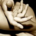 Entreprises 3 image ACUPUNCTURE VINCENT LEFÈVRE Health & Medicine dans Montréal QC