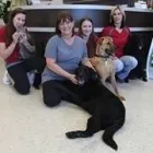 Entreprises 1 image ADELINE ANIMAL HOSPITAL Veterinarians dans Moncton NB
