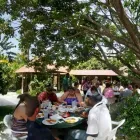 Entreprises 18 image ADMIRAL BAILEY TOURS JAMAICA travel & tourism dans Brampton ON