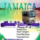 Entreprises 31 image ADMIRAL BAILEY TOURS JAMAICA travel & tourism dans Brampton ON