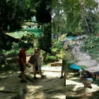 Entreprises 32 image ADMIRAL BAILEY TOURS JAMAICA travel & tourism dans Brampton ON