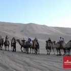 Business 19 image ADVENTURES ABROAD WORLDWIDE TRAVEL LTD. Travel Agents in Richmond BC