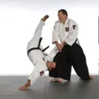 Entreprises 5 image AIKIDO CANADA Sports & Recreation dans Windsor ON