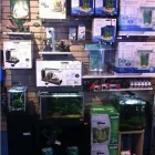 Business 8 image AJ'S PETS & THINGS Shopping in Vernon BC