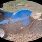 Business 3 image AJAX TREE SERVICE Tree Work & Forestry Services in Ajax ON