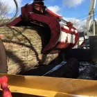 Business 1 image AL MILEY ARBORIST | TREE REMOVAL TORONTO Trees & Shrubs in North York ON