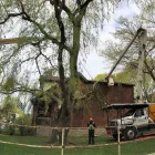 Business 2 image AL MILEY ARBORIST | TREE REMOVAL TORONTO Trees & Shrubs in North York ON