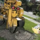 Entreprises 8 image ALBERTA ARBORISTS Tree Work & Forestry Services dans Edmonton AB