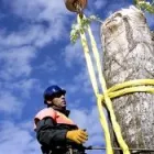 Entreprises 9 image ALBERTA ARBORISTS Tree Work & Forestry Services dans Edmonton AB