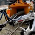 Entreprises 2 image ALBERTA ARBORISTS Tree Work & Forestry Services dans Edmonton AB
