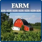 Entreprises 8 image ALFA INSURANCE BROKERS Legal & Financial Services dans Hamilton ON