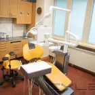 Business 2 image ALPHA DENTAL OMEGA SPA INC Health & Medicine in Calgary AB