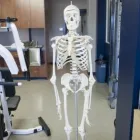 Business 6 image ALPHA PHYSICAL THERAPY & HEALTH CENTER P.C. LTD Physiotherapists in Regina SK