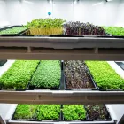 Business 9 image ALTA BISTRO Restaurants in Whistler BC