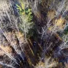 Entreprises 7 image ALTUS GEOMATICS LTD PARTNERSHIP Surveyors dans Edmonton AB