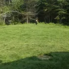 Business 21 image AMÉNAGEMENT HR INC Turf & Lawn Suppliers in Sherbrooke QC