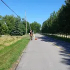 Entreprises 2 image ANGLEHART FRANÇOIS Surveyors dans Montréal QC