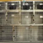 Entreprises 15 image ANIMAL EMERGENCY HOSPITAL Veterinarians dans Red Deer AB