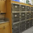 Entreprises 24 image ANIMAL EMERGENCY HOSPITAL Veterinarians dans Red Deer AB