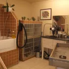 Entreprises 4 image ANIMALERIE TOUTOU D'AMOUR Pet Grooming Services dans Saint-hubert QC