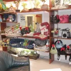 Entreprises 6 image ANIMALERIE TOUTOU D'AMOUR Pet Grooming Services dans Saint-hubert QC