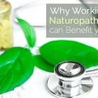Entreprises 9 image ANNEX NATUROPATHIC CLINIC Naturopaths dans Toronto ON