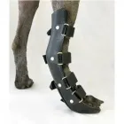 Entreprises 1 image APPLETREE ORTHOTICS SERVICES Orthotics & Prosthetics dans Burlington ON