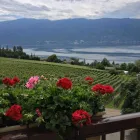 Entreprises 5 image APRÈS WINE TOURS travel & tourism dans Kelowna BC