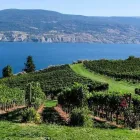 Entreprises 7 image APRÈS WINE TOURS travel & tourism dans Kelowna BC