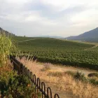 Entreprises 8 image APRÈS WINE TOURS travel & tourism dans Kelowna BC